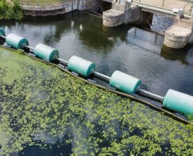 Sludge Dewatering